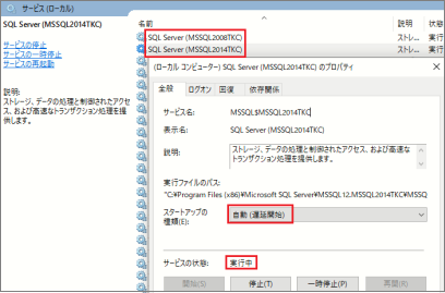 参考資料1